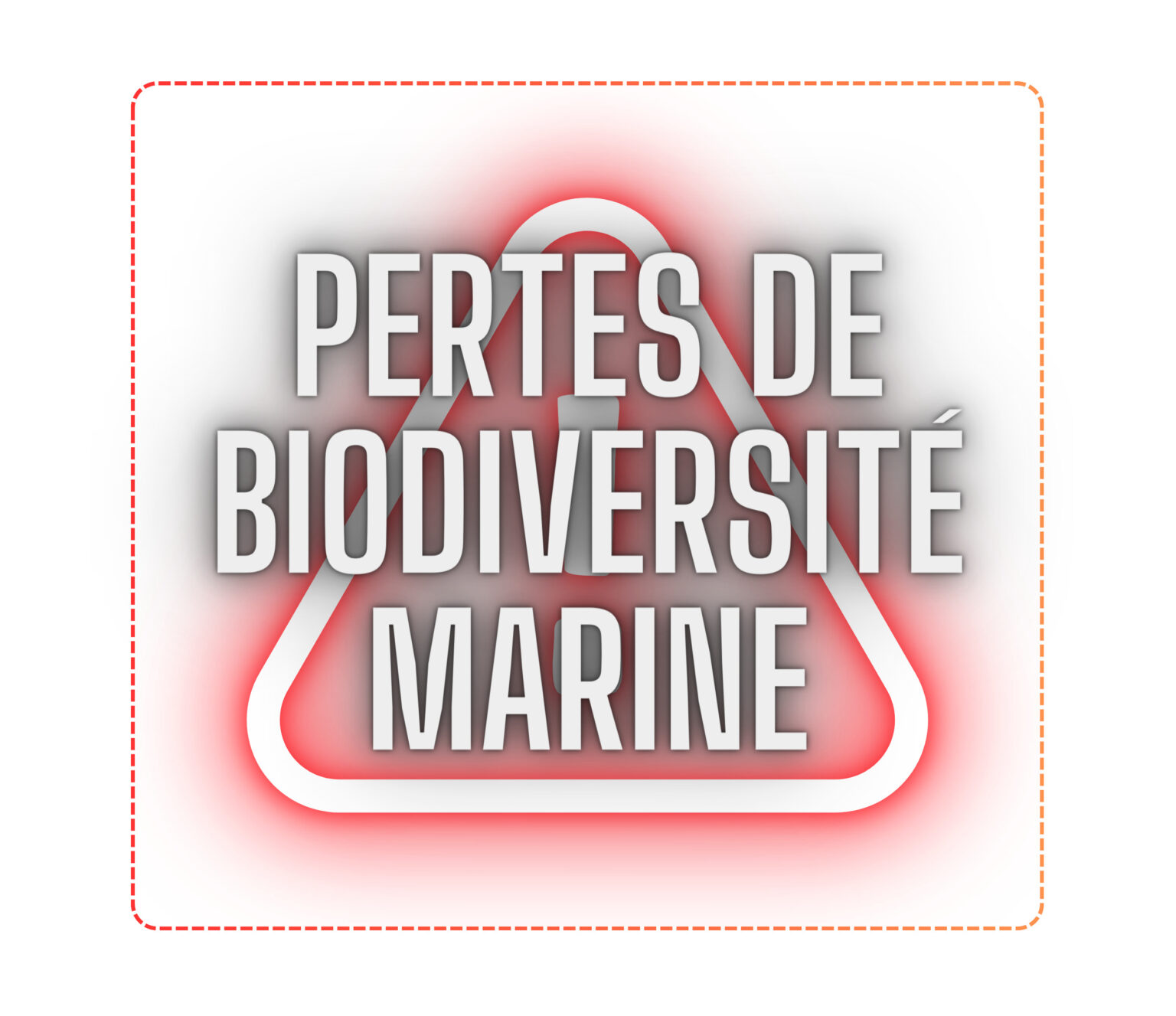 PERTES DE BIODIVERSITé MARINE (B)