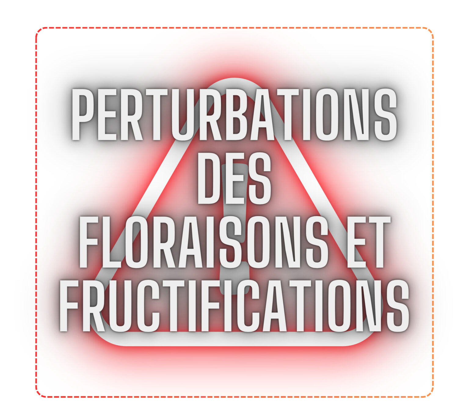 PERTURBATIONS DESFLORAISONS ET FRUCTIFICATIONS (B)