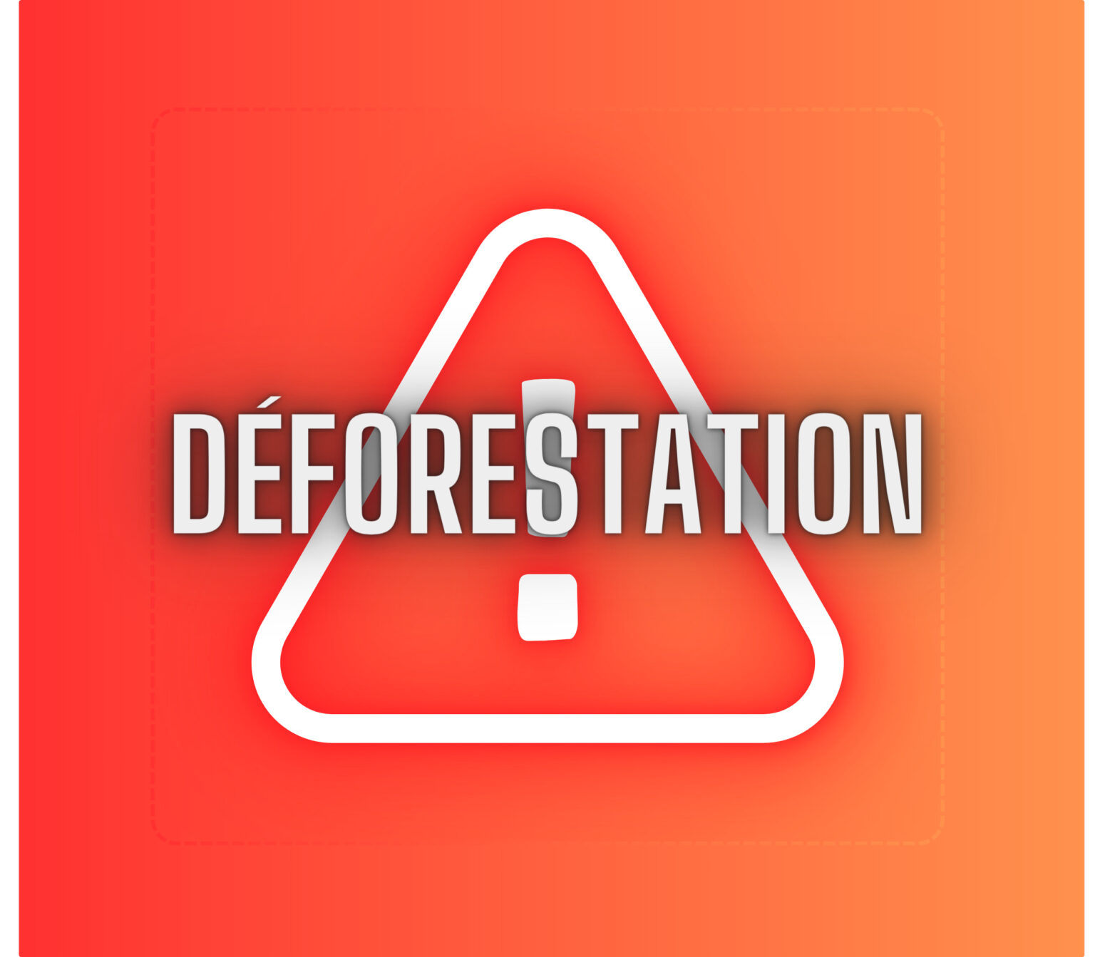 déforestation (O)