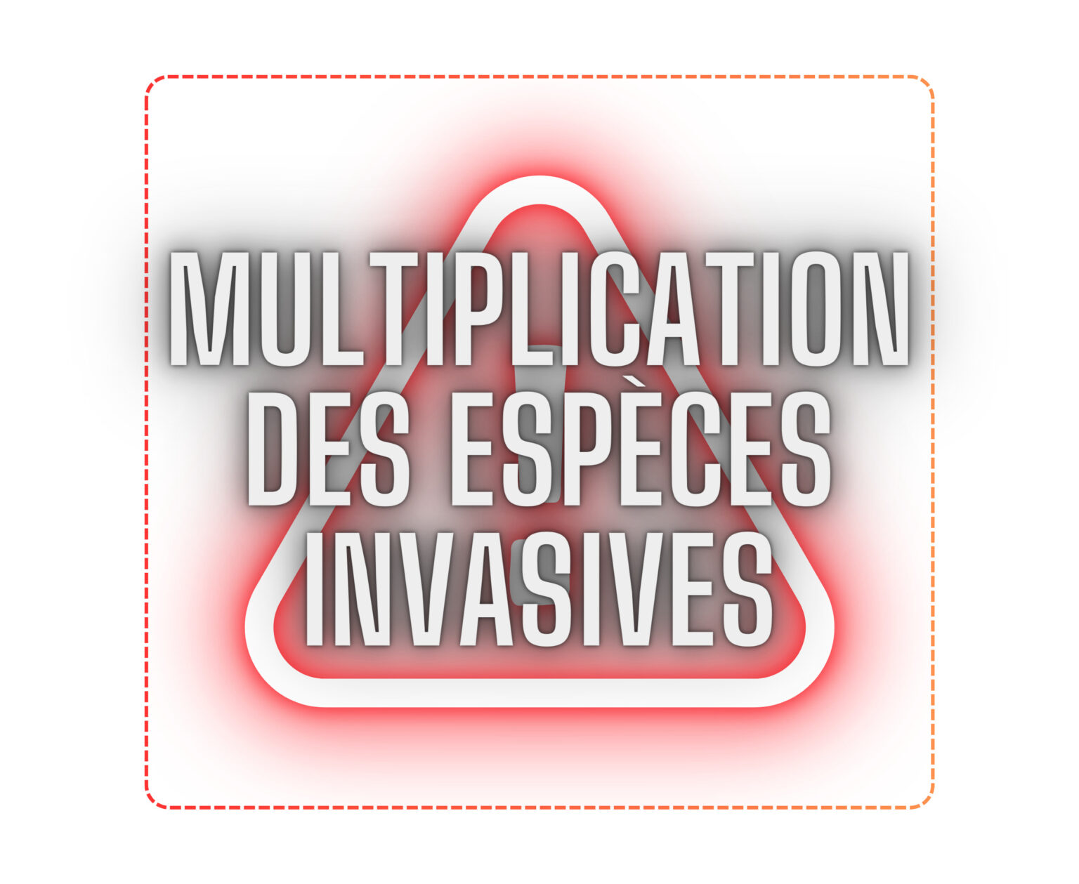 multiplication des espèces invasives (B)